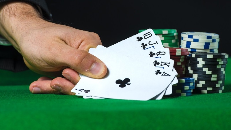 The Online Gambling Craze: Exploring the Surge in Popularity